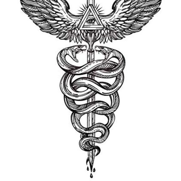 Meet your Posher, Jarett - Picture 1 of 1